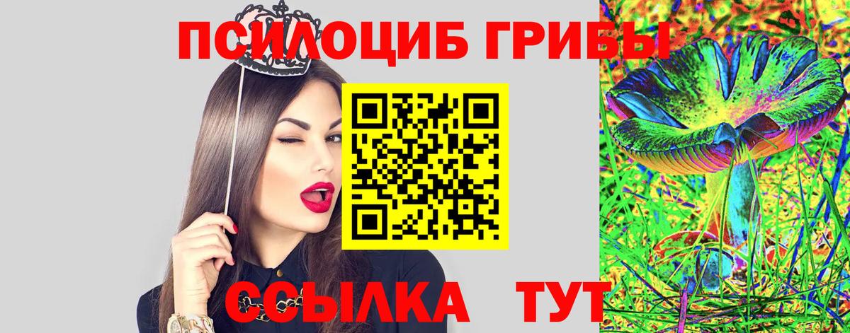 Псилоцибиновые грибы Magic Shrooms  Псилоцибиновые грибы Psilocybe  Соликамск  Вход с VPN 